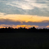 у д.Выскодь :: Артем 