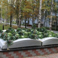 В осеннем городе :: Ольга 