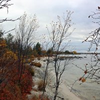 Берег Имандры :: Ольга 