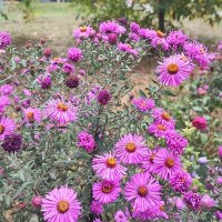 ,,, :: Сергей Тимоновский