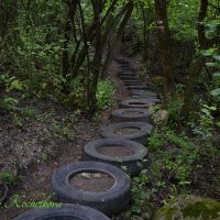 Природа Крыма :: Amazing Cosmea
