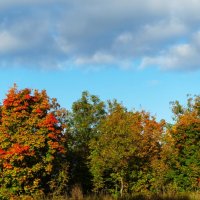 Осенние краски :: Aida10 