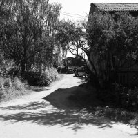 Фотография :: Денис Безногов