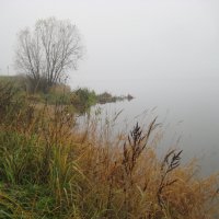 Осень. :: Борис Бутцев