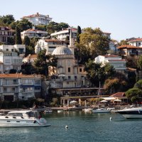 Один из 9 островов (Принцевы острова) :: Лилия . Один из 9 островов (Принцевы острова) :: Лилия .