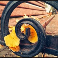 С прогулки.... :: Руслан 