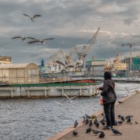 Про Питер :: Владимир Колесников