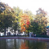 ... :: Надежда 