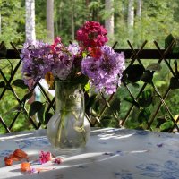 Уставший август :: AleksSPb Лесниченко