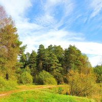 Тёплый день осени :: Андрей Снегерёв