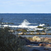 ******** :: ИННА ПОРОХОВА