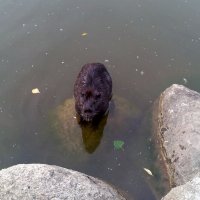 чудо :: Владимир чудо :: Владимир