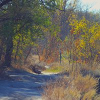 ***тёплый осенний денёк) :: (Владимир С)