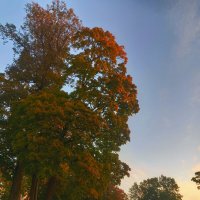 Рассвет :: Сапсан 