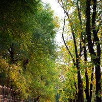 Осень 2025 :: Вячеслав Дроздов