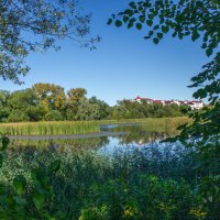 Заросла речушка. :: Михаил "Skipper"