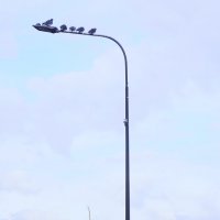 Высокое положение. :: Василий Палий