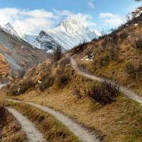 Тропа :: Виктор Фоменко