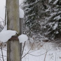 Обнимашки :: Иван Генералов