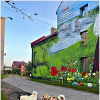 По улочкам Полесска. :: Валерия Комова