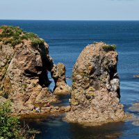 Путешествие на мыс Великан и Птичий. :: Ирина Нафаня Путешествие на мыс Великан и Птичий. :: Ирина Нафаня