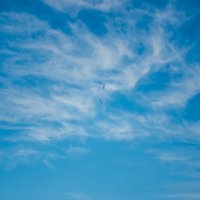 Воздушный бой (серия) :: Михаил 