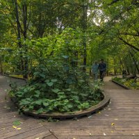 В Парке Хуамин :: юрий поляков