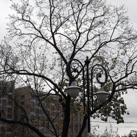 осень в городе :: Олег Лукьянов осень в городе :: Олег Лукьянов