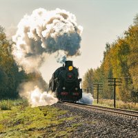 Паровоз :: Igor Dibrov