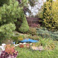 Курск. В саду у дома :: Ирэн 