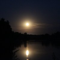 Летняя ночь :: Сергей 