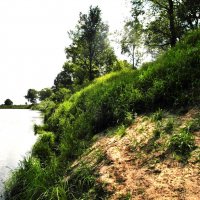 берег на реке :: Владимир 