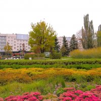 Осень в городе :: Лариса С.