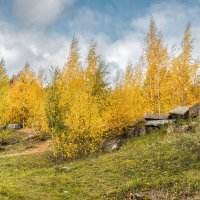 Про Питер :: Владимир Колесников