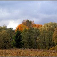 Осенняя палитра. :: Владимир Попов