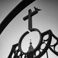 Утро в ЧБ :: Наталья Сафронова