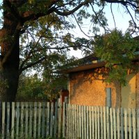 и днём и ночью кот учёный...(П) :: sv.kaschuk и днём и ночью кот учёный...(П) :: sv.kaschuk