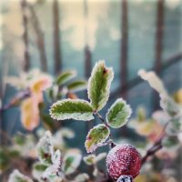 Замороженный :: AZ east3