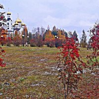 Октябрь...Рябины в церковном парке! :: Владимир 