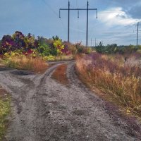 Околица 2. :: Андрей. 