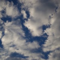 Вертолет и небо :: Александр Лычагин