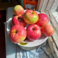 деревенские яблочки :: Галина Флора
