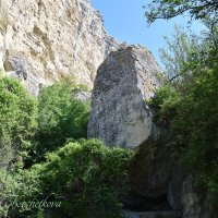 Природа Крыма :: Amazing Cosmea