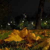 ***** :: юрий поляков