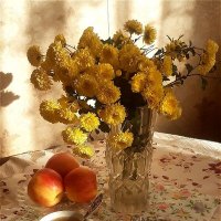 Приятно выпить чашку чая,осенним солнечным деньком! :: Нина Андронова