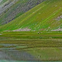 ПРИТОК ОЙГАИНГА. h- 2850м. :: Виктор Осипчук