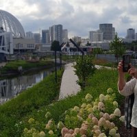 моя сестра :: Елена Шаламова