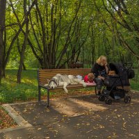 Прогулки в Осеннем Парке :: юрий поляков