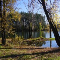 Осень :: Наталия Григорьева