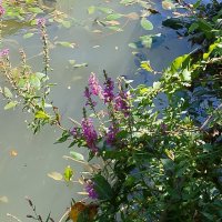 Министерские озёра :: Tata Wolf